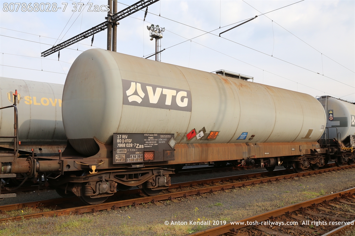 807868028-7_37 Zacs.JPG